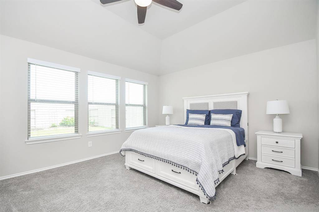 Bright and airy primary bedroom featuring large windows, neutral walls, and a cozy carpet.