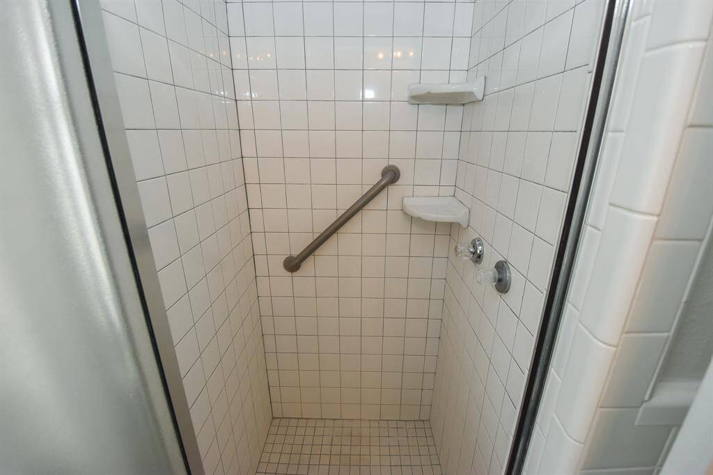 Master shower.