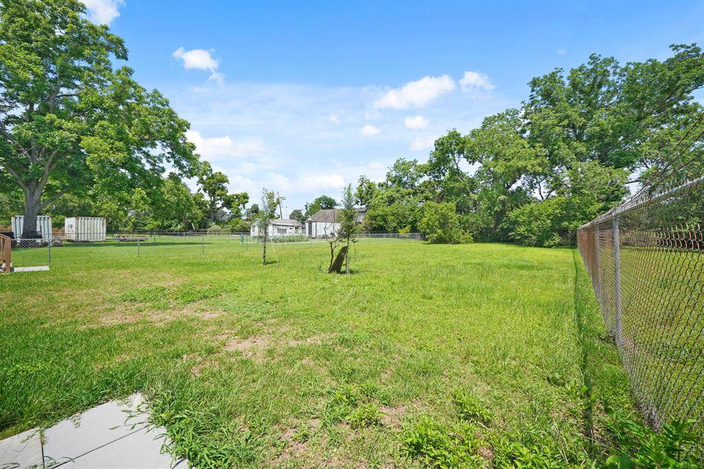 Spacious backyard with lush green grass, mature trees, and a chain-link fence, ideal for outdoor activities and gardening.