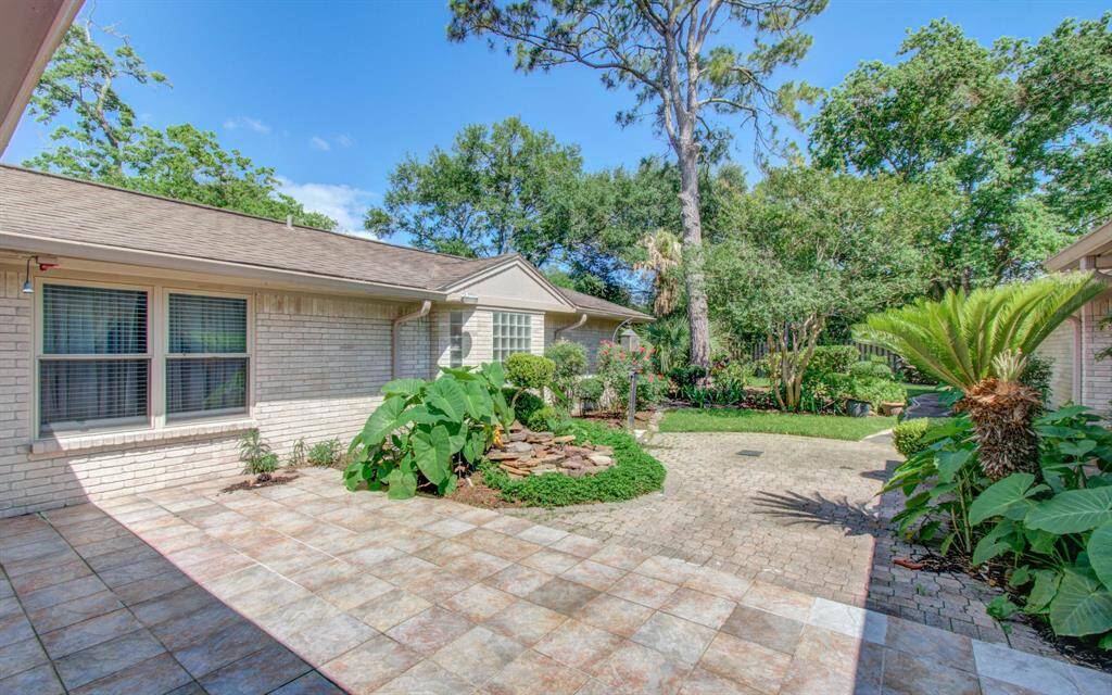 Beautiful Patio and backyard