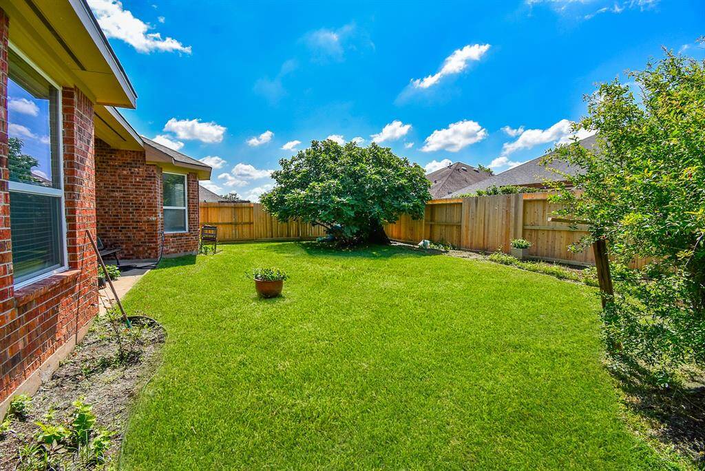 Large backyard with fruit trees (fig& promegranate, curry leaves etc..)