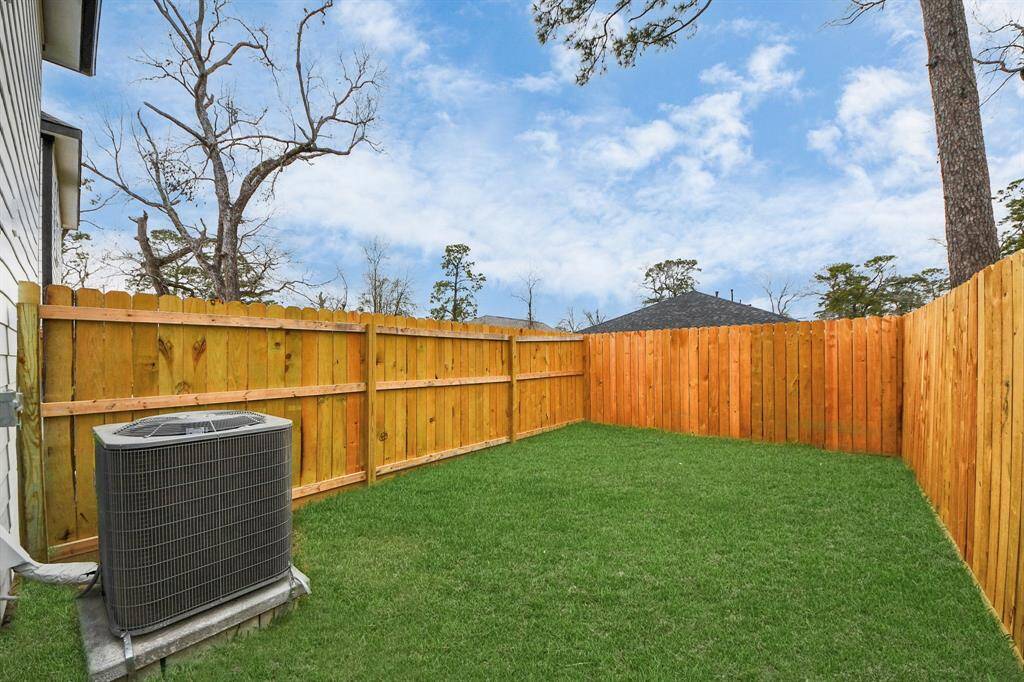 Come and see this backyard.
