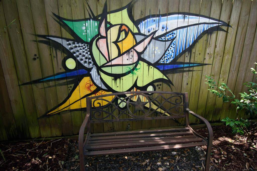 Custom painted murals on privacy fence