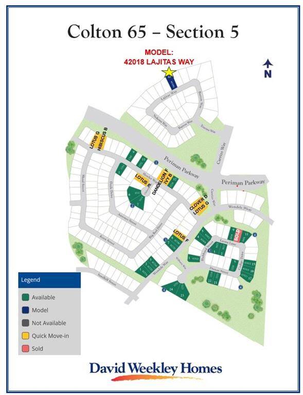David Weekley Homes Colton 65 ft wide home sites.