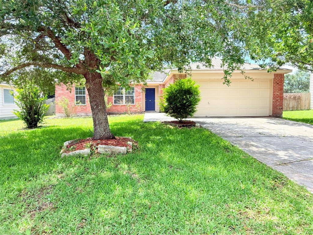 Gorgeously shaded front lawn