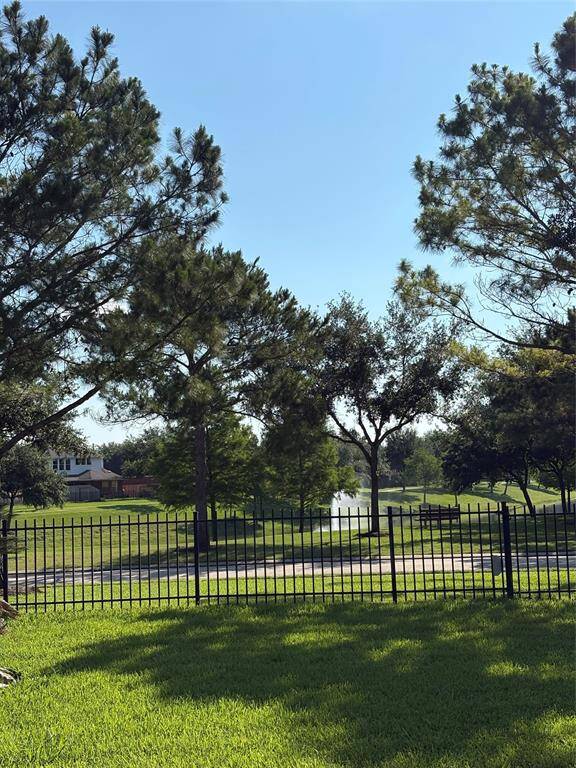 View from the backyard. This is the fence for the back yard.