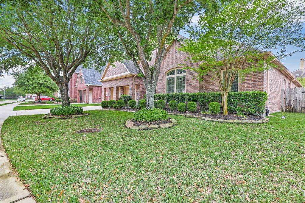 Front Yard