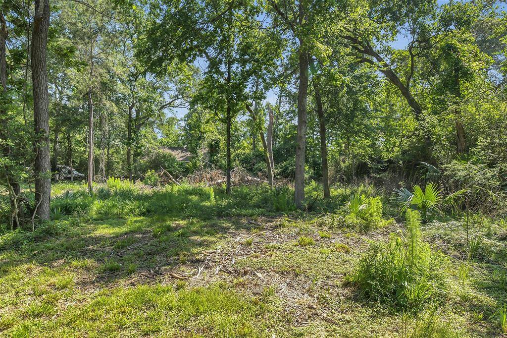Additional land beyond fenced area.