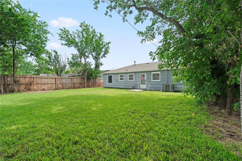 Spacious Backyard