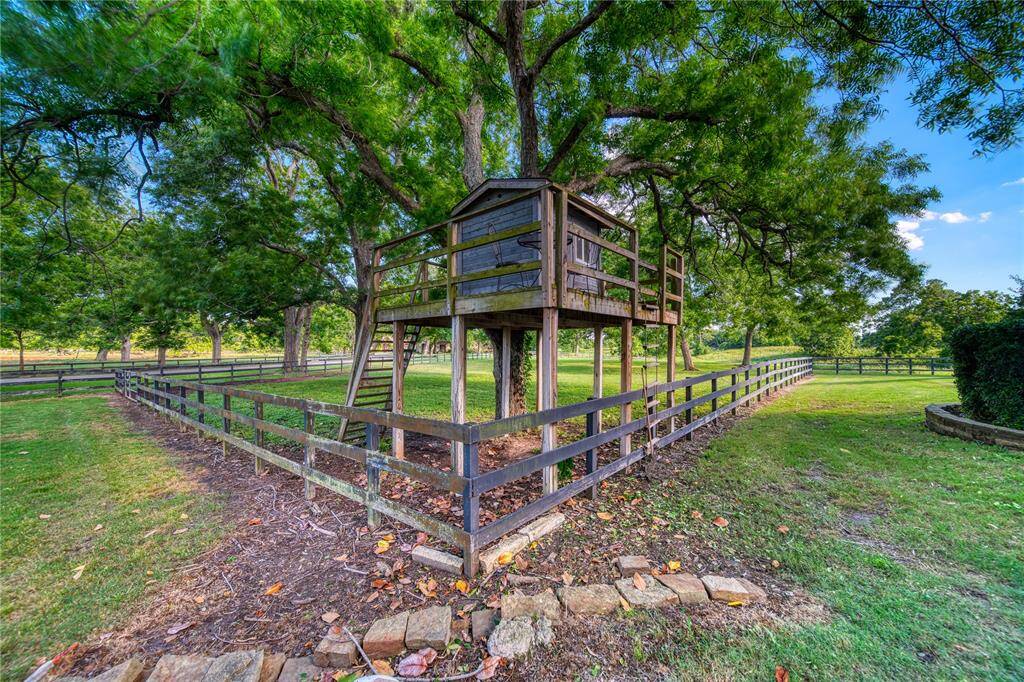 Adorable treehouse for the kids to climb.