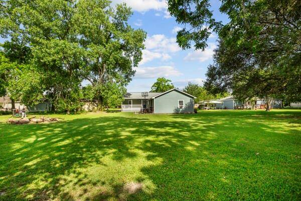 back yard