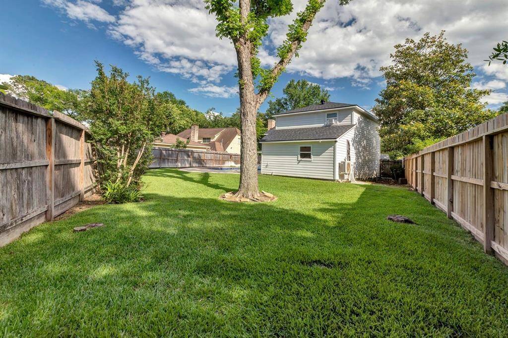 Back yard