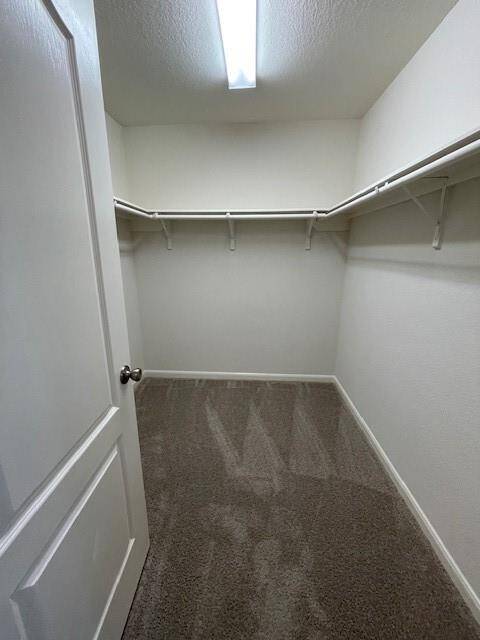 Walk-in closet in master bedroom