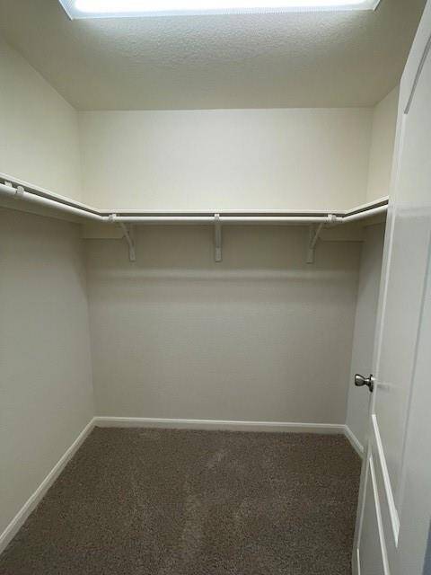 Walk-in closet in master bedroom