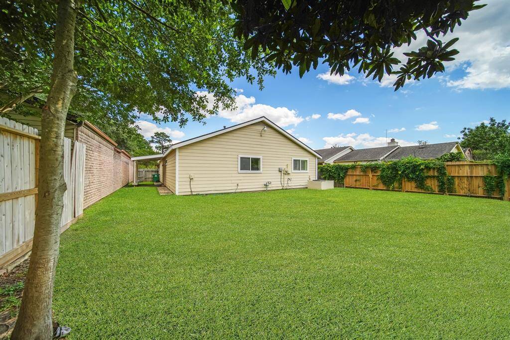 Spacious Backyard