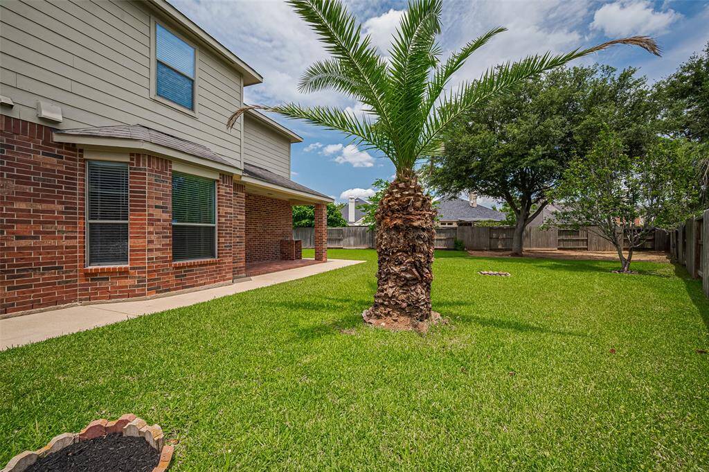 Mature trees in both front and back, professionally trimmed in 2024 for beauty and safety.