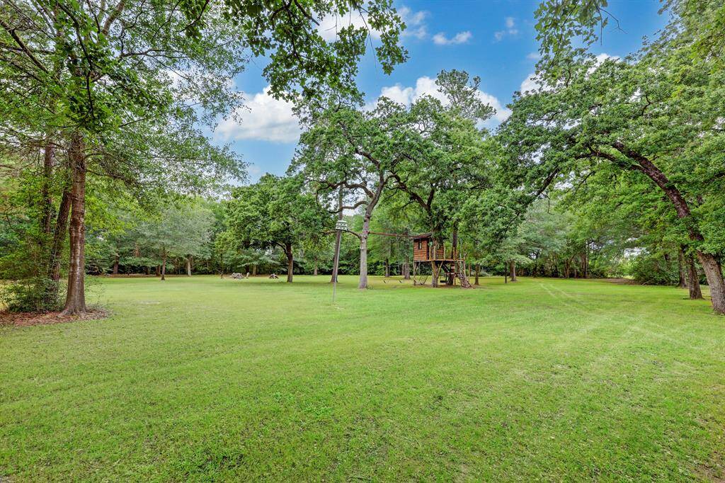Wooded acreage
