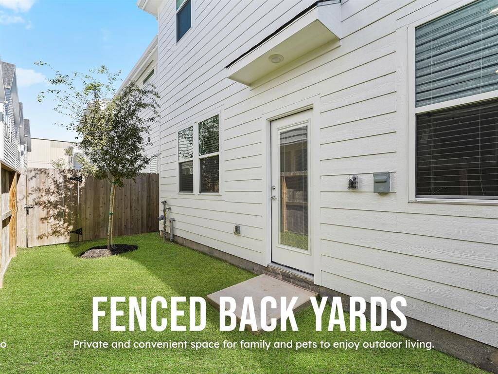 Fenced Back Yard
