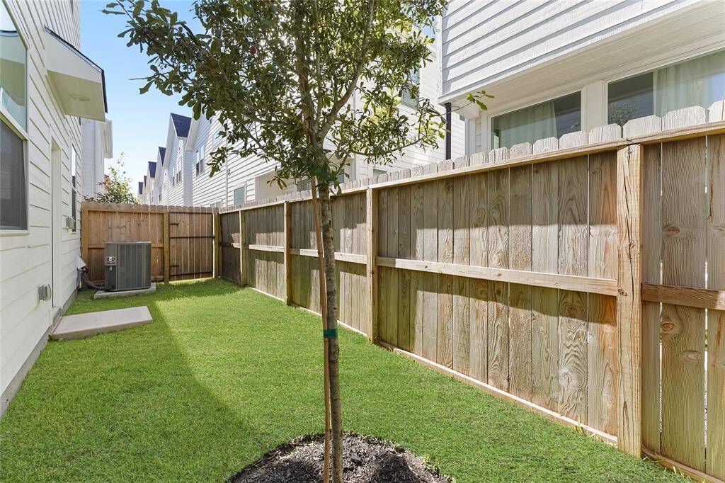 Fenced Back Yard