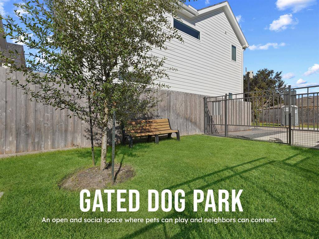 Gated Dog Park