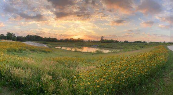 Willow Waterhole offers scenic views, restored ecosystems, and quiet places to connect with nature.