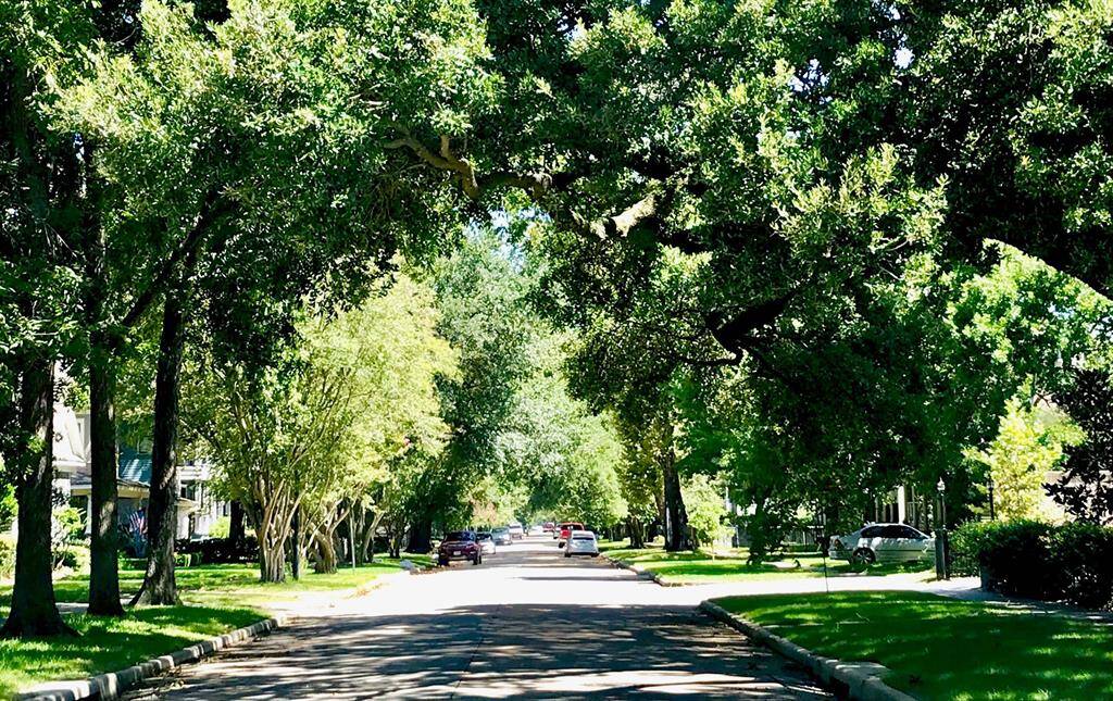 1200 block of Cortlandt...curbed and guttered concrete street with sidewalks and beautiful tree-lined street.