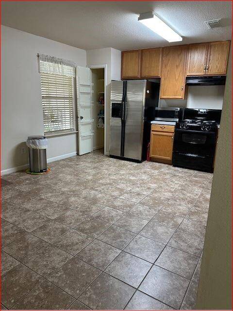 Kitchen pic 2