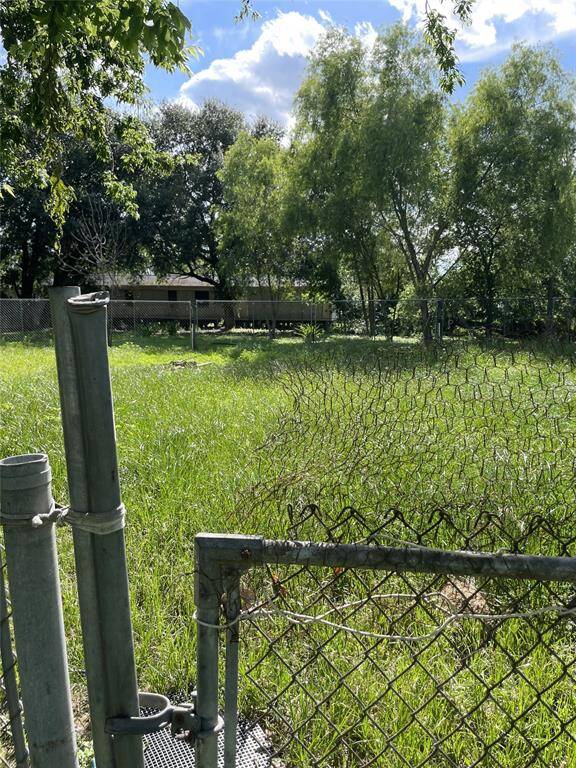 Expansive backyard with lush greenery, perfect for outdoor activities and relaxation.