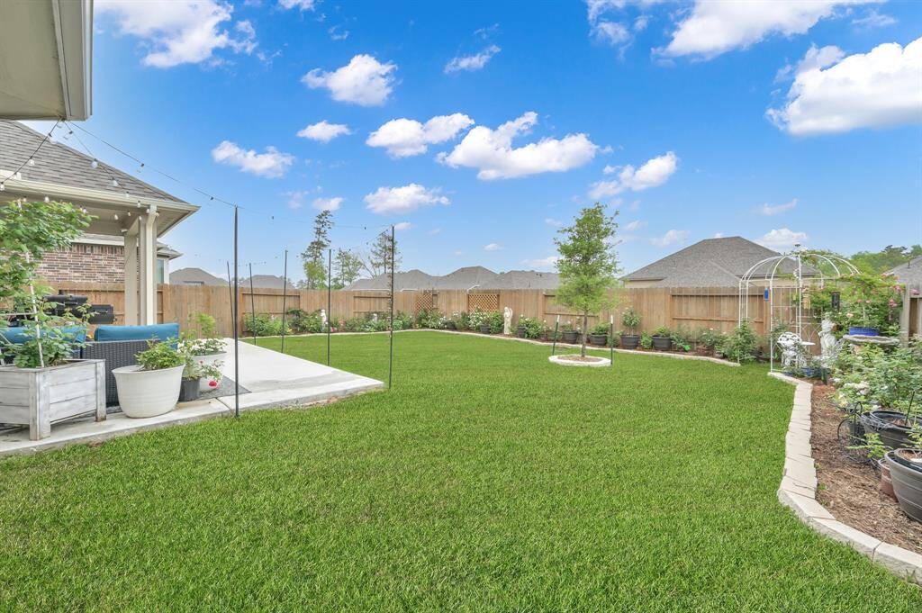 Backyard has terrific landscaping