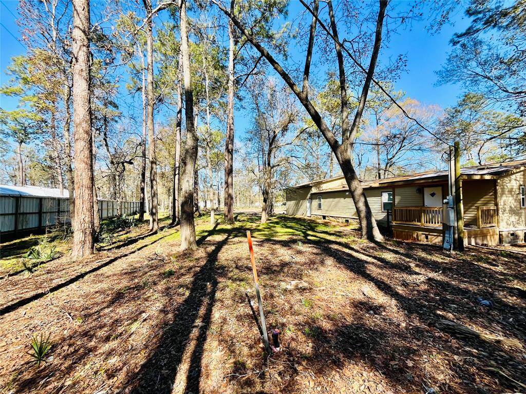 Back yard