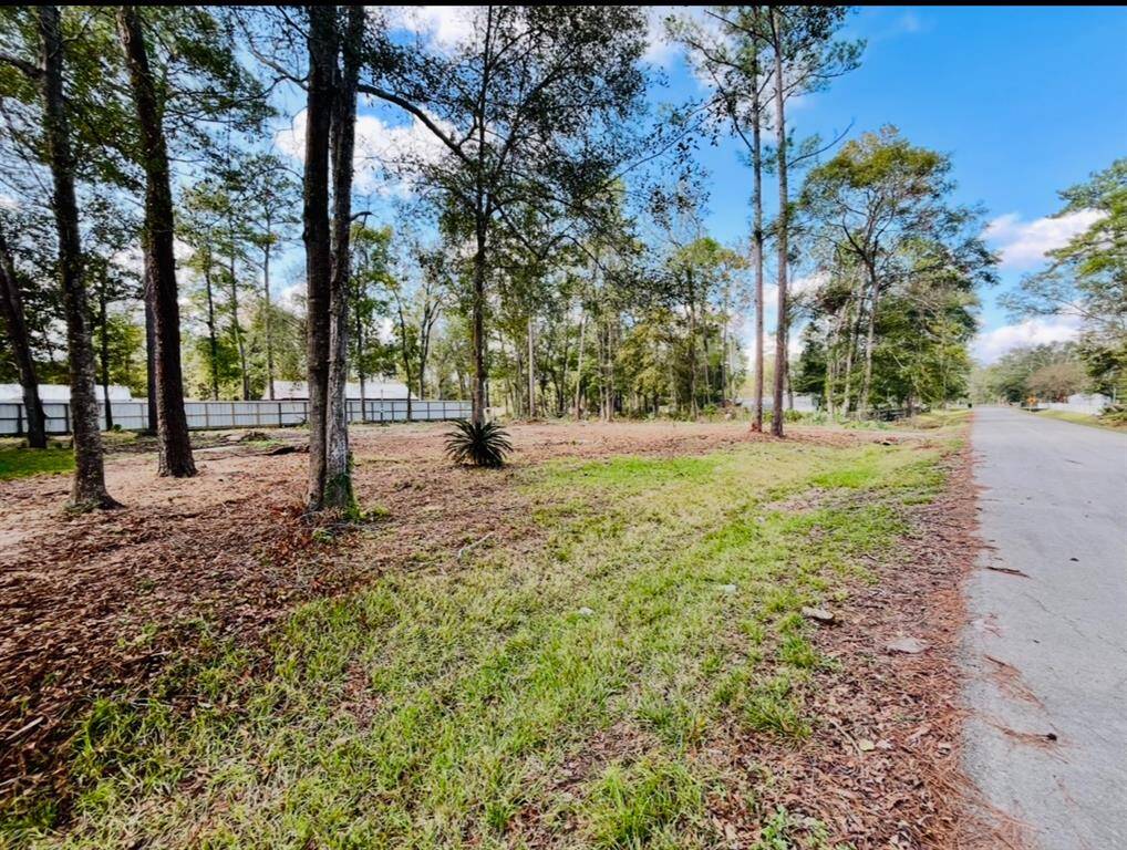 2nd driveway LARGE OPEN spacious yard.