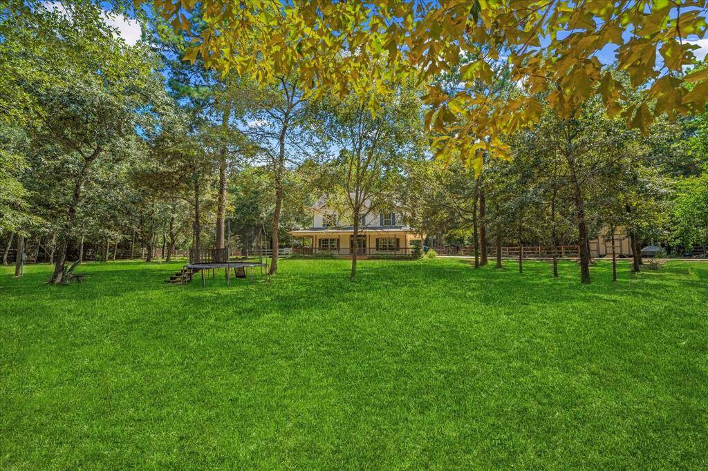 Backyard oasis with lush greenery, perfect for relaxing or entertaining.