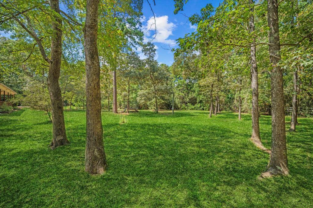 This heavily wooded lot is ready for you to enjoy!