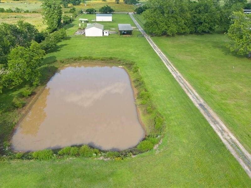 The pond surrounded by lush greenery, offering a peaceful countryside setting.