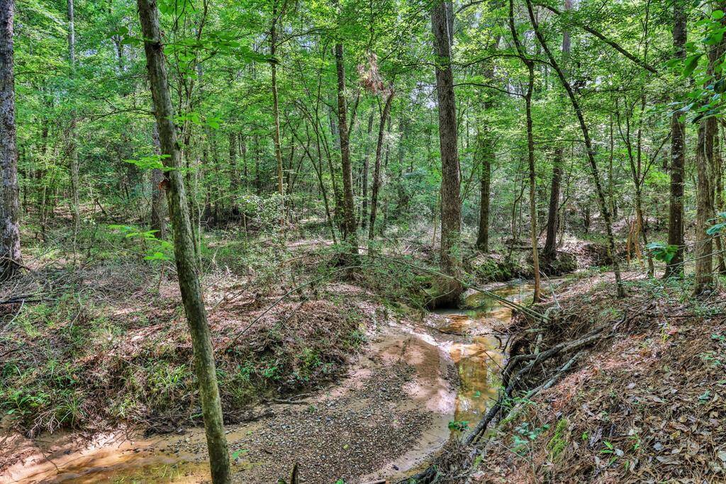 Let the adventure begin! There is a creek on the property