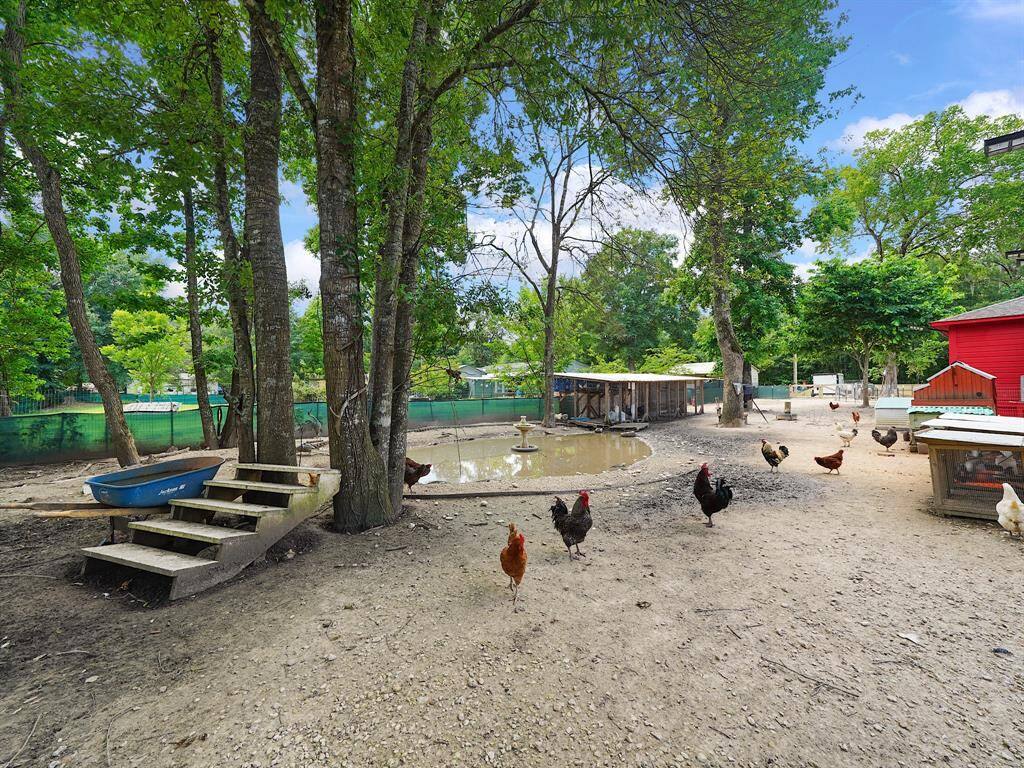 The backyard includes a storage shed and a pond, offering an ideal setup for free-range poultry.