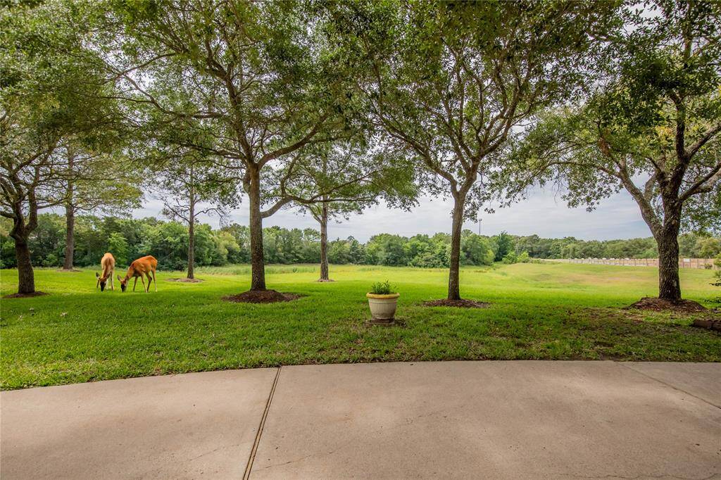 Enjoy frequent sightings of deer.