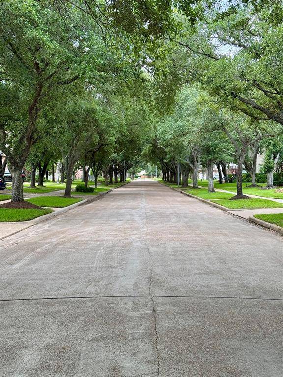 A picturesque canopy of trees shading the street below.