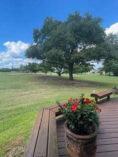 Down stairs deck view of trees and golf course.
