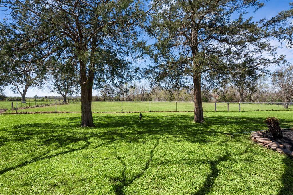 Shaded back yard - view is looking toward the back pasture.