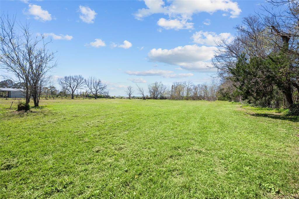 Nice pasture in the back