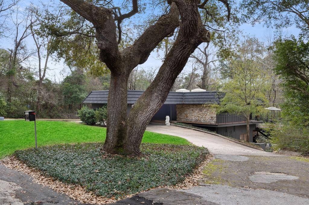 Amazing mature landscaping around the property
