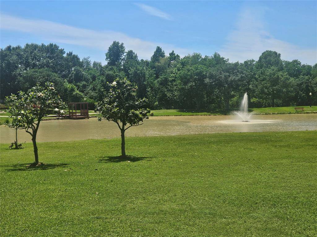 Lake / Jogging Trail