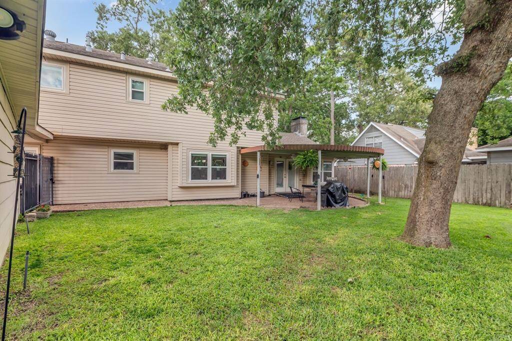 Back yard