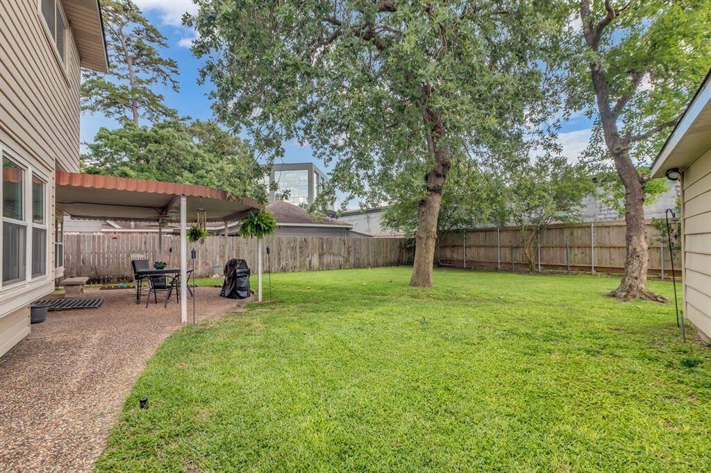 Back yard