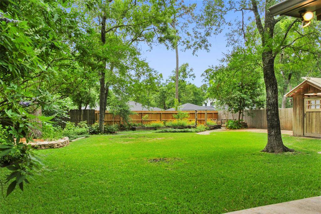Lovely back yard.
