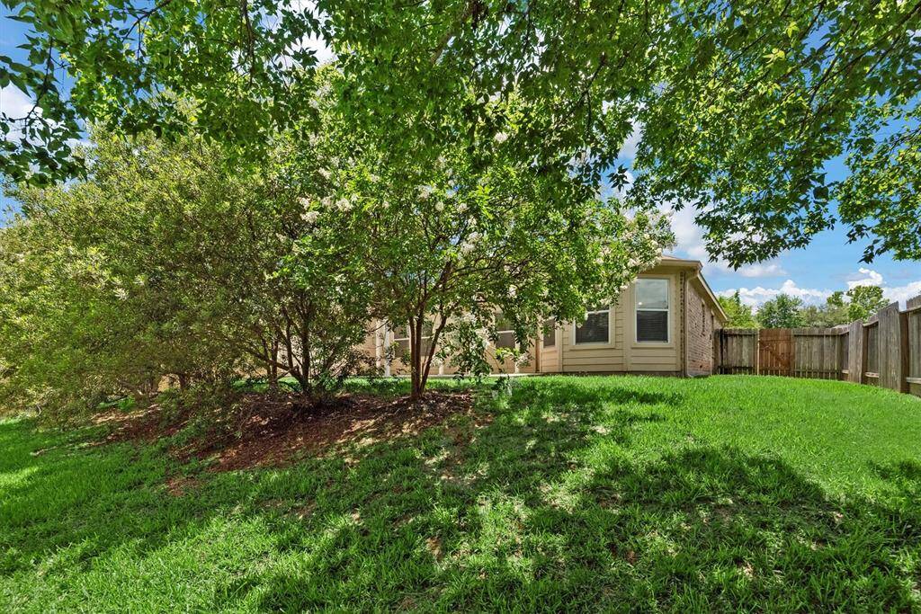 Nice backyard perfect for relaxation and outdoor activities.