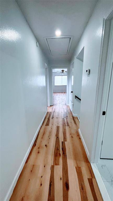 Bright narrow hallway leading to the others rooms.