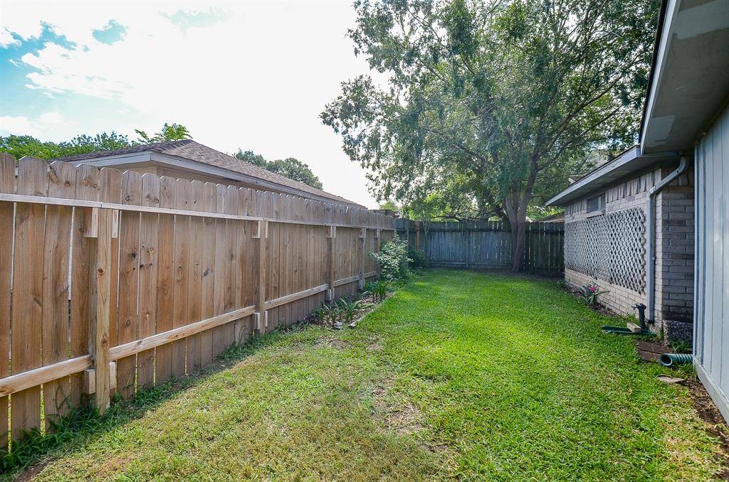 Low maintenance yard