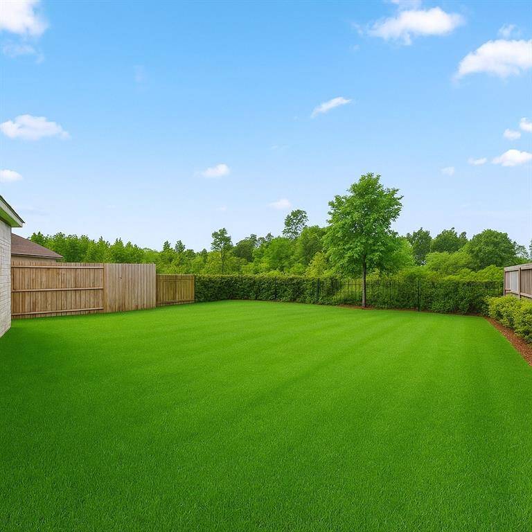 Edited photo to show off the grass at its best.
